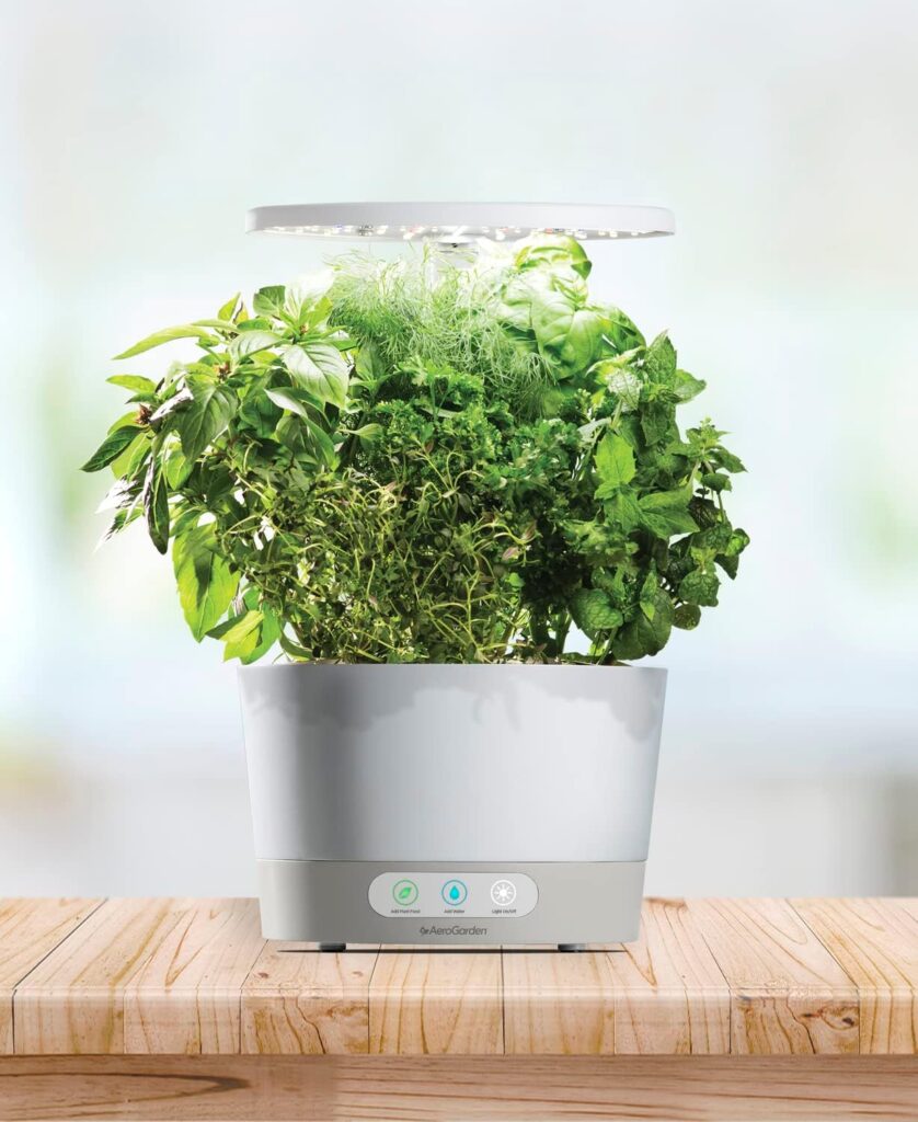 AeroGarden Harvest with Gourmet Herb Seed Pod Kit - Hydroponic Indoor Garden, Black