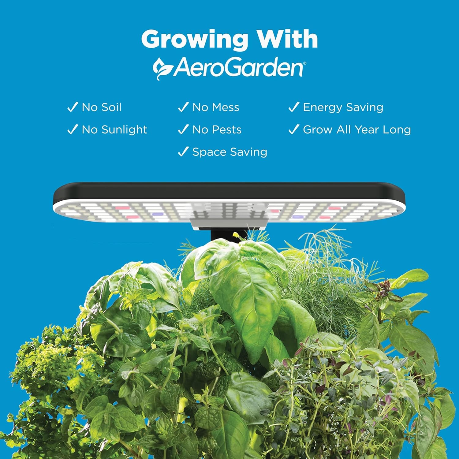 AeroGarden Harvest Review